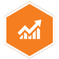 Values Icon